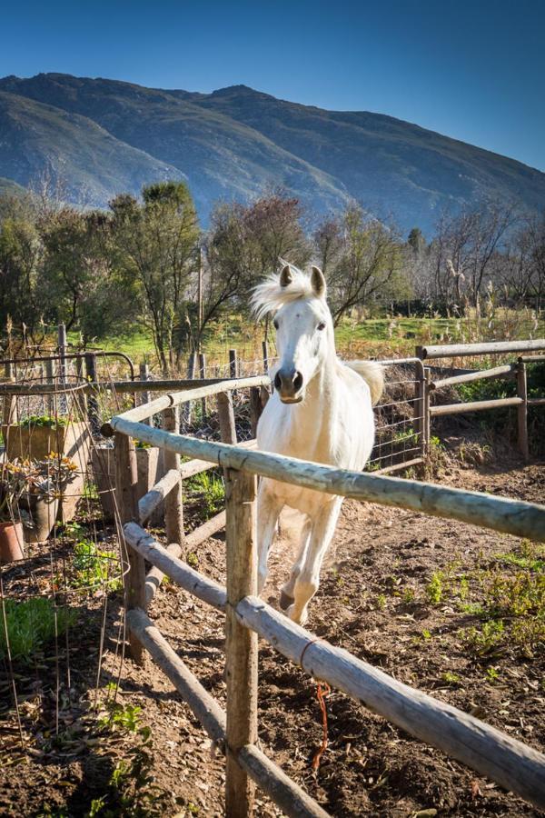 Aasvoelkrans Guest Farm Bed & Breakfast Montagu Exterior photo